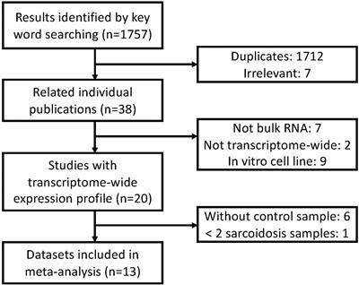 A transcriptomics-based meta-analysis identifies a cross-tissue signature for sarcoidosis